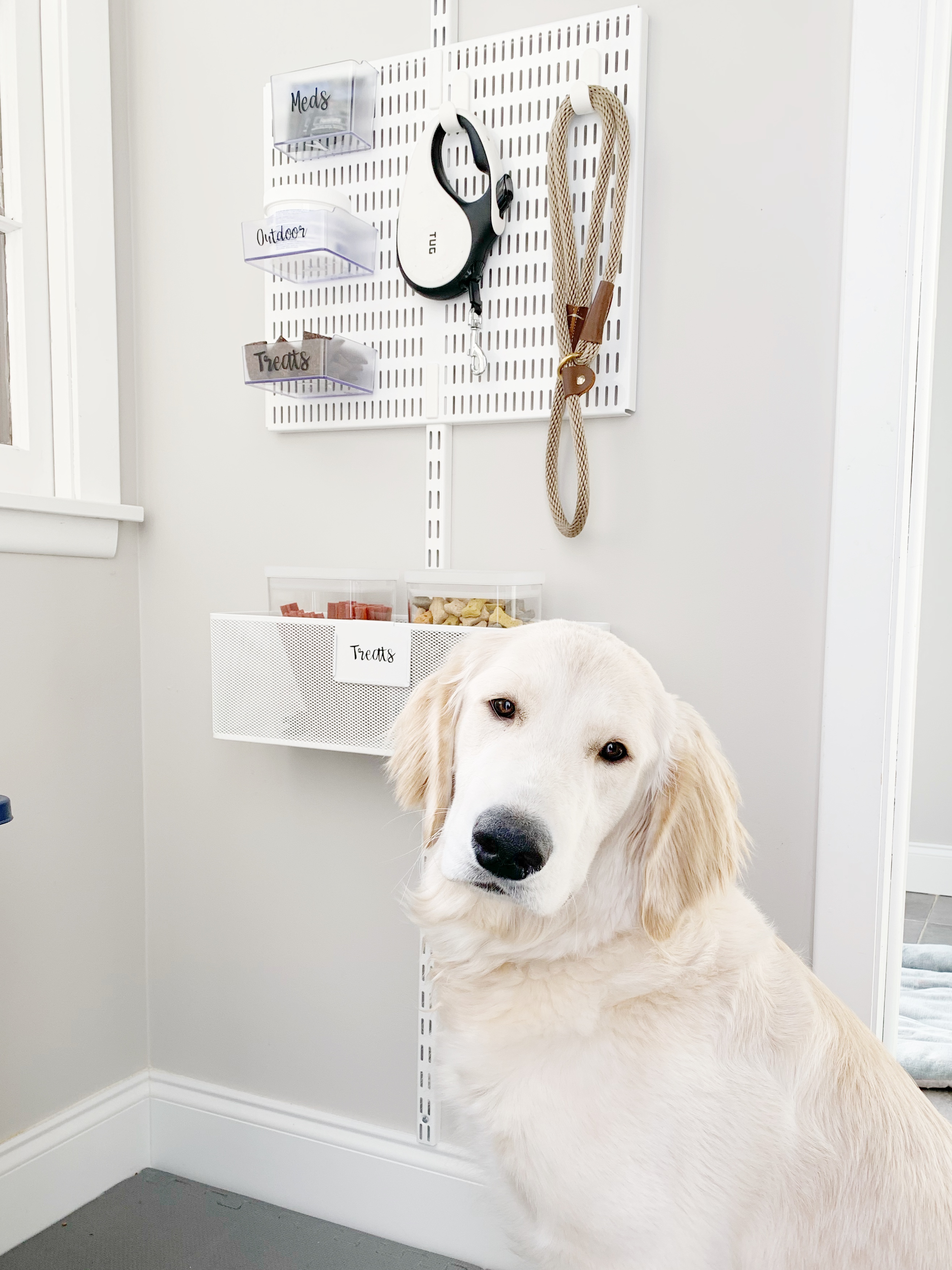 Organized Pet Supplies Made Easy. How To Organize Your Pet's Belongings.